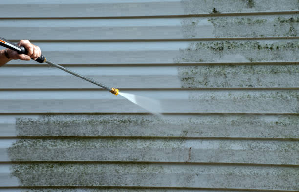 Best Roof Washing  in Haskins, OH